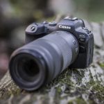 RF 100-400mm F5.6-8 IS USM_Ambient_-06