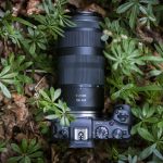 RF 100-400mm F5.6-8 IS USM_Ambient_-15